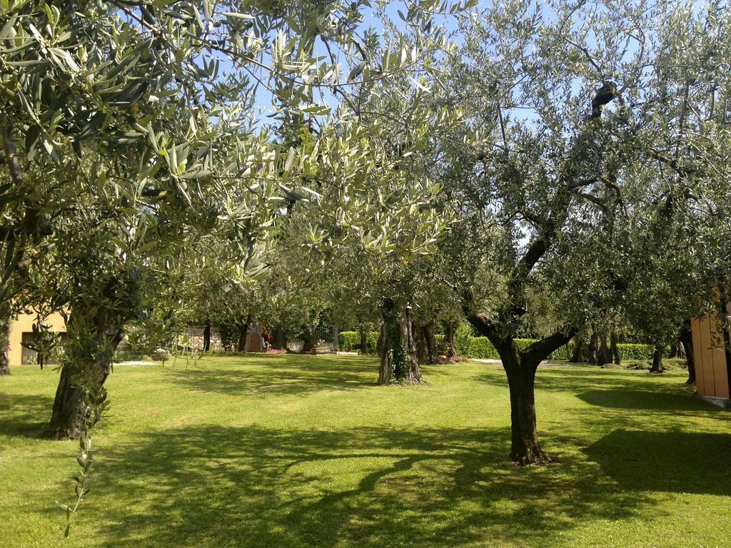 Villa Molino Moniga del Garda Εξωτερικό φωτογραφία